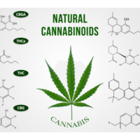 Cannabis Capitalist Radio: Terpenes  Terpenoids  Cannabinoids