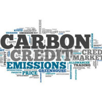 Compassionate Capitalism and the Green Economy - New Carbon Economics