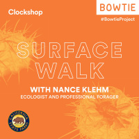 Nance Klehms Surface Walk