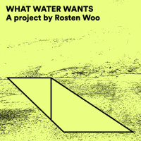 What Water Wants by Rosten Woo