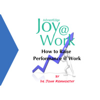 How to Raise Performance and have Joy@Work