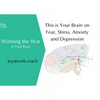 This is Your Brain on Fear, Stress, Anxiety and Depression