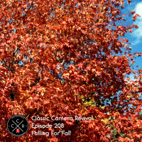 Episode 208 - Falling For Fall