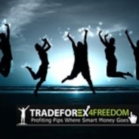 Tradeforex4freedom Podcast On Trading Success