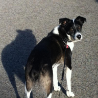 Not Soy sauce and Omnifocus