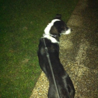 Three things I learned today