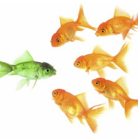 Standing Out In A World Oversaturated With Content