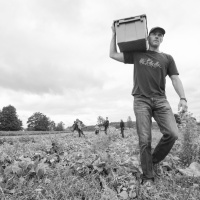 #438: Innovative Nonprofit Captures Food Waste, Feeds Hungry