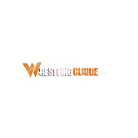 Wrestling Clique Live: WWE Royal Rumble Review, CM Punks Departure, Raw