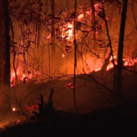 Gatlinburg wildfire charges dropped. Attorney Greg Isaacs explains why. (FULL NEWS CONFERENCE)