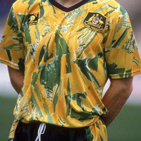 THE FIRST TIME I WORE THE GREEN AND GOLD