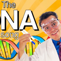 NutriMedical Report Show Monday April 8th 2019 – Hour Two – Dr True Ott PhD, Next Gen CellVital, Cell Potential Remineralizer, Gene Activation with Photon Sound Beam Energizer,