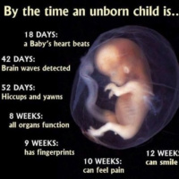 NutriMedical Report Show Friday April 12th 2019 – Hour Three – Pastor Butch Paugh, Truth About US Christian Inaction on Unborn, Truth re Trump and Apollo, Son in Law Kusher Cabalistic Warlock, Treaty with Israel Handed to Golden Boy Kusher by Trump,