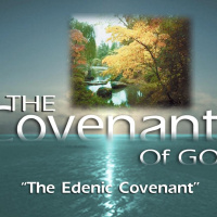 NutriMedical Report Show Friday April 5th 2019 – Hour Three – Rob Roselli, www.BoxofSunglasses.com,