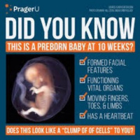 NutriMedical Report Show Friday April 26th 2019 – Hour Three – Pastor Butch Paugh, Two Segments, Prolife Policies State Federal, Texas Alabama Life At Conception Laws, Heart Beat Bills Six States, End of Roe v. Wade Federal, Movies, UnPlanned, Roe v. Wade