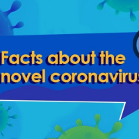 NutriMedical Report Mon Feb 17th ’20 Hr1 SARS PainAway SuperFolateTR+