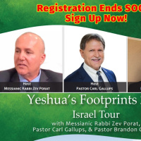 NutriMedical Report Thurs Feb 20th ’20 Hr3 SARS GallupsZevParotProphet