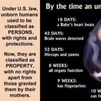 NutriMedical Report Show Monday April 22ND 2019 – Hour Three – Josh Bernstein, www.Patreon.com/JoshBernstein, Leftist Communist Democrat Demon-Rats, Buttigieg Smooth Con Communist, Bernie Sander-Claus Health Disaster, All Demon-Rats Support Infanticide,