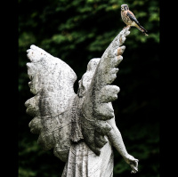 A Walk Among The Tombstones