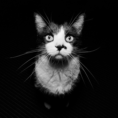 Street Shots Photography Podcast