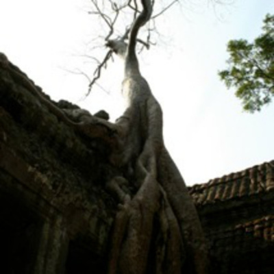 Meditations And Visualizations - Yoga With Aria