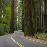 Episode 170: Palm Sunday - March 28, 2021