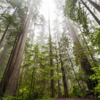 Episode 220: Guest Speaker - Jim Jessup