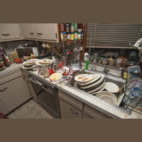 Living with People - Zapp English Colloquial 2.2