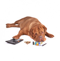 Money - Zapp English Colloquial 2.15