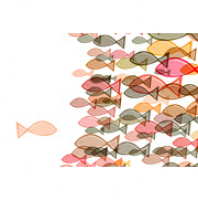 Controversial Issues - Zapp English Listening 3.23