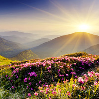 Time - Zapp English Listening 2.14