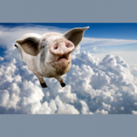 Chance and probability - Zapp English Listening 3.17