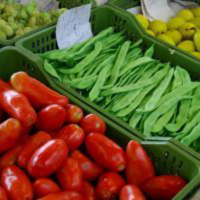 Why is Fiber So Important?