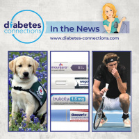 In the News... Ozempic compound warning, T1D Go Fund Me study, Tandem timeline update.. and more!