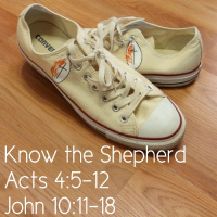 Know the Shepherd