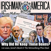 Irishman In America - Liz Loses, Weisselberg Pleads  4 Theories On Why he Kept Those Boxes (Part 1)