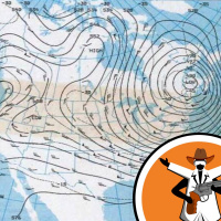 Polar Vortices
