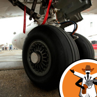 Plane Stowaway