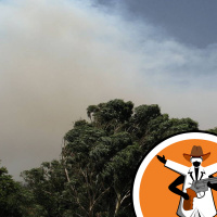 Wildfires