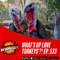 Whats Up Love Turkeys?! Ep. 533
