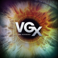 Videogame BANG! VGX Recap, Wii Curious