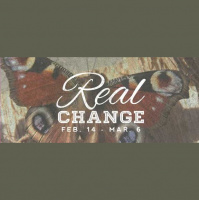 DTR - Audio