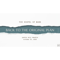 Back to the Original Plan - Audio