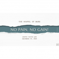 No Pain, No Gain - Audio