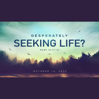 Desparately Seeking Life - Audio