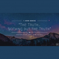 The Truth...Nothing But the Truth - Audio