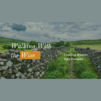 Wise Friendship - 2021/11/14 - Audio