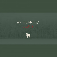 A Savior Who Understands (Hebrews 4:14-16) - 2020/12/13 (9) - Audio