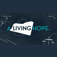 Rejoicing When It Hurts (1 Peter 4:12-19) - 2022/06/05 - Audio