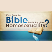 What Does the Bible Really Say about Homosexuality? - Audio